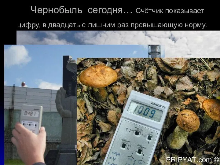 Чернобыль сегодня… Счётчик показывает цифру, в двадцать c лишним раз превышающую норму.