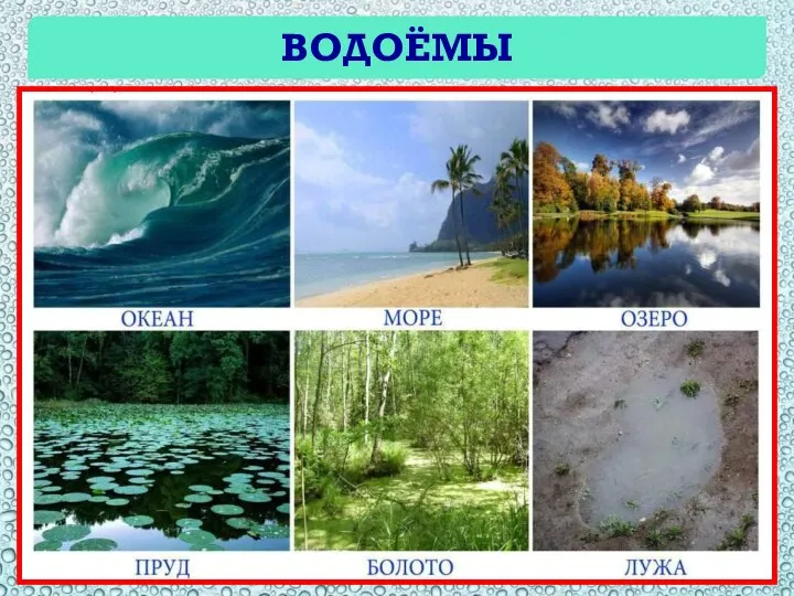 ВОДОЁМЫ