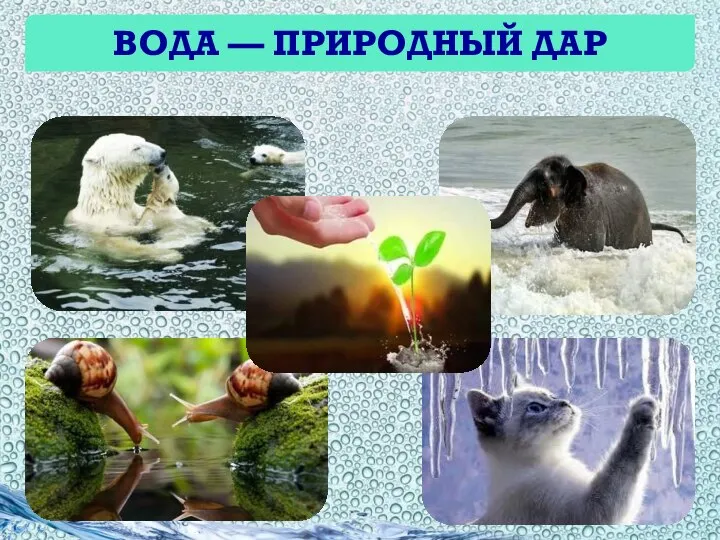 ВОДА — ПРИРОДНЫЙ ДАР