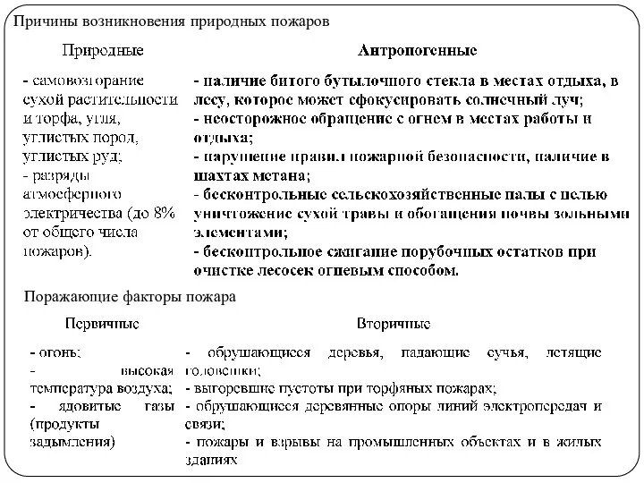 Причины возникновения природных пожаров Поражающие факторы пожара