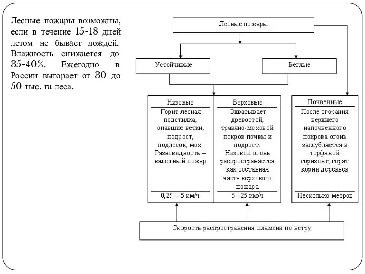 Лесные пожары возможны, если в течение 15-18 дней летом не бывает дождей.
