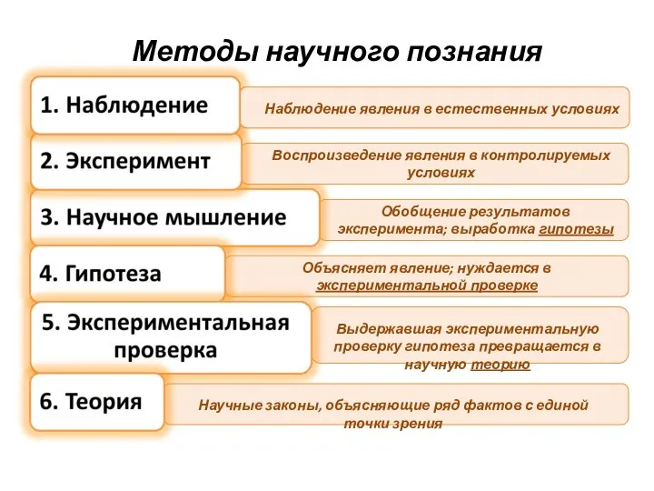 Методы научного познания Обобщение результатов эксперимента; выработка гипотезы Выдержавшая экспериментальную проверку гипотеза