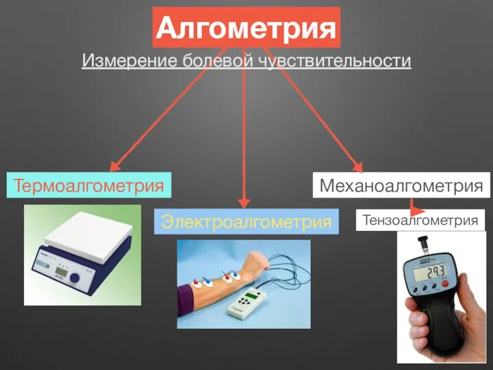 Алгометрия Термоалгометрия Электроалгометрия Механоалгометрия Тензоалгометрия Измерение болевой чувствительности