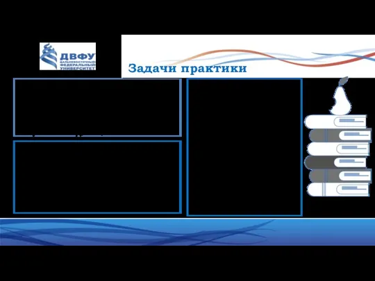 Задачи практики 1. Закрепить и углубить знания и умения, полученные в процессе