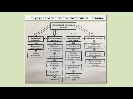 Структура экспортного потенциала региона