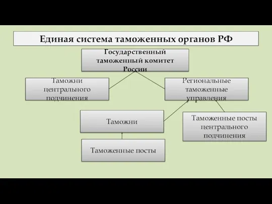 Единая система таможенных органов РФ Государственный таможенный комитет России Таможни центрального подчинения