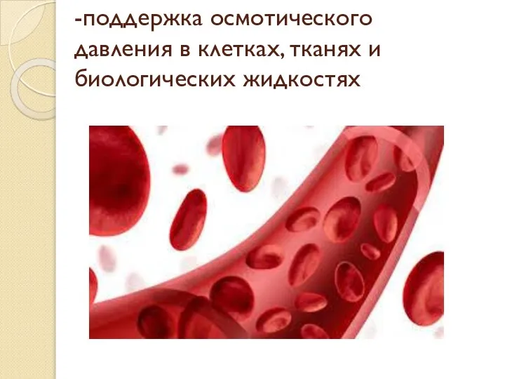 -поддержка осмотического давления в клетках, тканях и биологических жидкостях