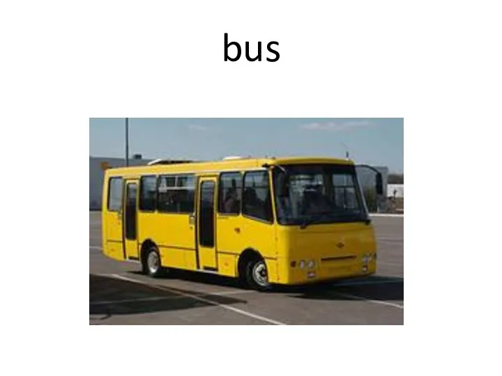 bus