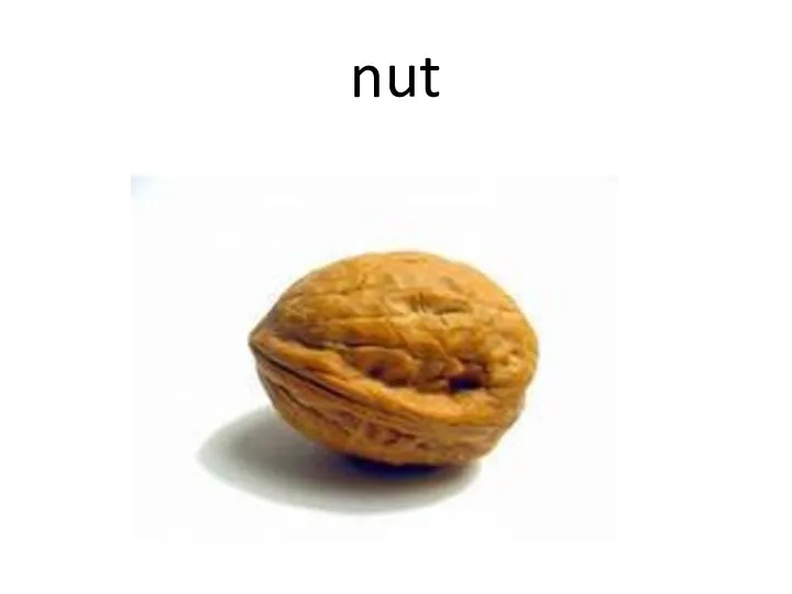 nut