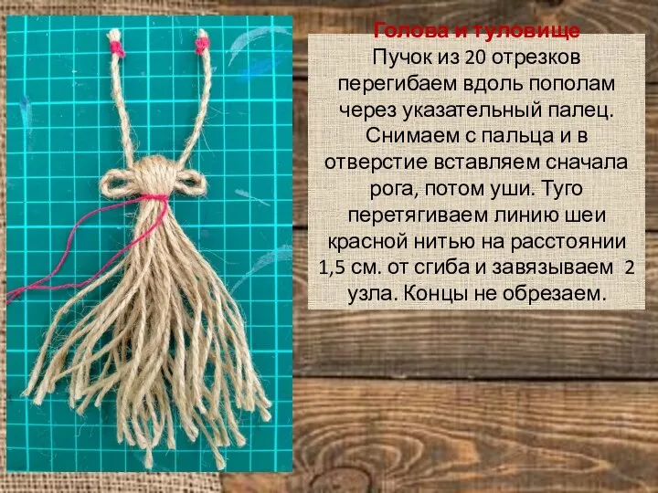 Голова и туловище Пучок из 20 отрезков перегибаем вдоль пополам через указательный