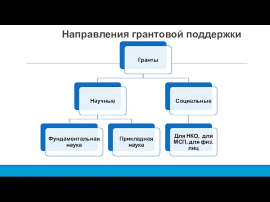 Направления грантовой поддержки