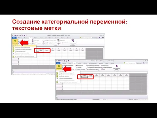 Создание категориальной переменной: текстовые метки