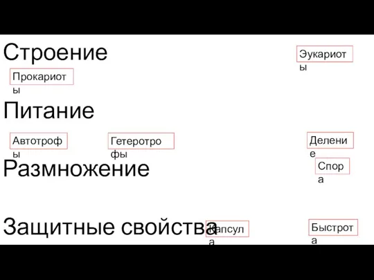 Строение Питание Размножение Защитные свойства Прокариоты Эукариоты Гетеротрофы Капсула Спора Автотрофы Деление Быстрота