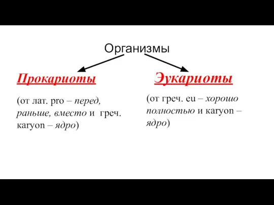 Организмы Прокариоты Эукариоты (от греч. еu – хорошо полностью и кaryon –