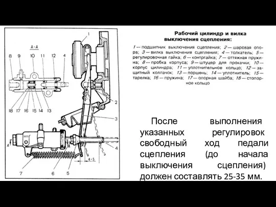 После выполнения указанных регулировок свободный ход педали сцепления (до начала выключения сцепления) должен составлять 25-35 мм.