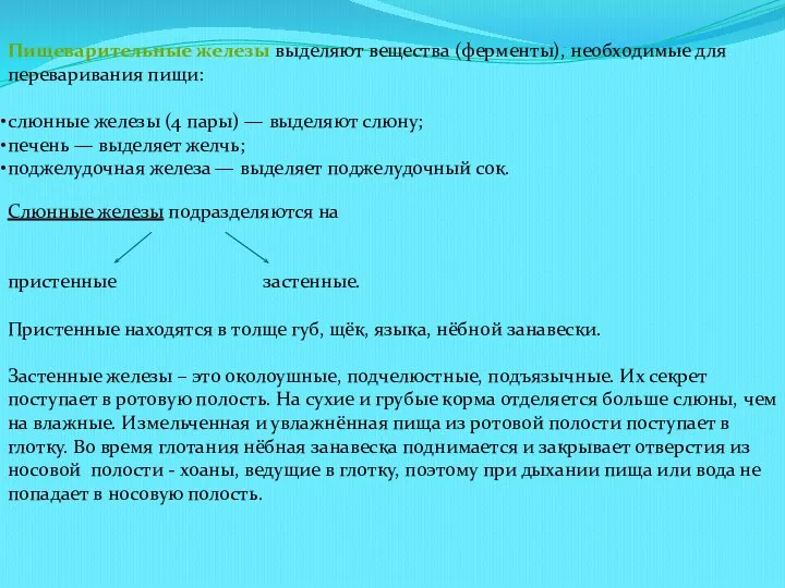 Слюнные железы подразделяются на пристенные застенные. Пристенные находятся в толще губ, щёк,