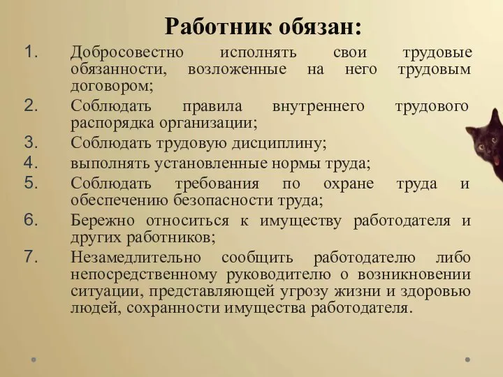 Работник обязан: Добросовестно исполнять свои трудовые обязанности, возложенные на него трудовым договором;