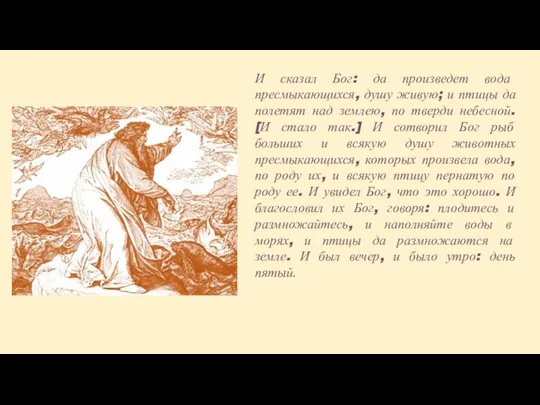 И сказал Бог: да произведет вода пресмыкающихся, душу живую; и птицы да