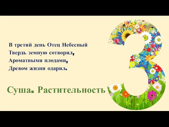 В третий день Отец Небесный Твердь земную сотворил, Ароматными плодами, Древом жизни одарил. Суша. Растительность