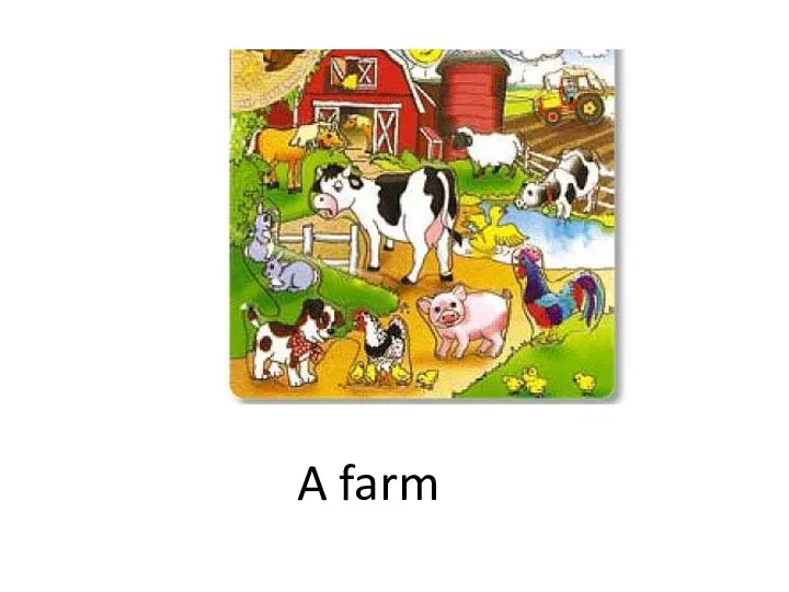 A farm