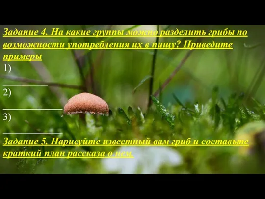 Задание 4. На какие группы можно разделить грибы по возможности употребления их