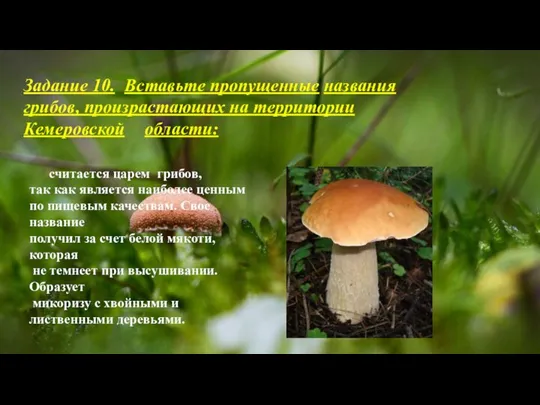 Задание 10. Вставьте пропущенные названия грибов, произрастающих на территории Кемеровской области: считается