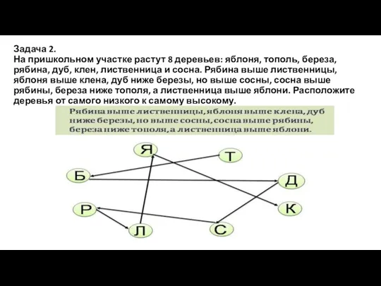 Задача 2. На пришкольном участке растут 8 деревьев: яблоня, тополь, береза, рябина,