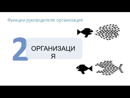 2 Функции руководителя: организация ОРГАНИЗАЦИЯ