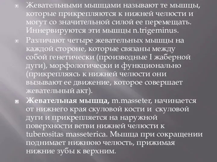 Жевательными мышцами называют те мышцы, которые прикрепляются к нижней челюсти и могут