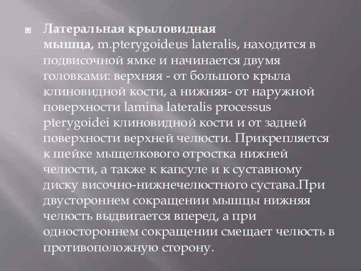 Латеральная крыловидная мышца, m.pterygoideus lateralis, находится в подвисочной ямке и начинается двумя