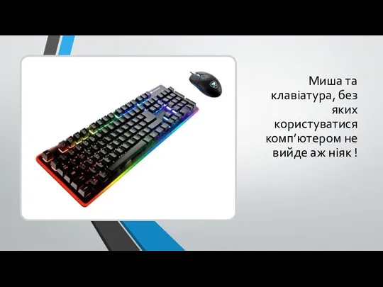 Миша та клавіатура, без яких користуватися комп’ютером не вийде аж ніяк !