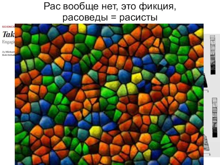 Рас вообще нет, это фикция, расоведы = расисты