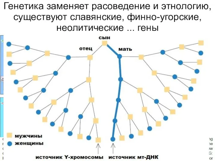 Генетика заменяет расоведение и этнологию, существуют славянские, финно-угорские, неолитические ... гены