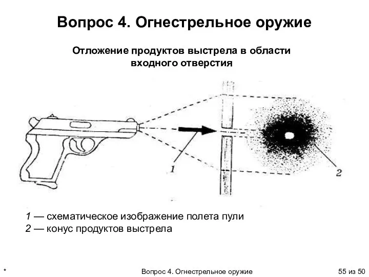 * Вопрос 4. Огнестрельное оружие из 50 Вопрос 4. Огнестрельное оружие Отложение