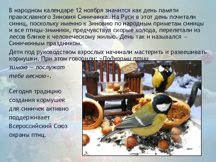В народном календаре 12 ноября значится как день памяти православного Зиновия Синичника.
