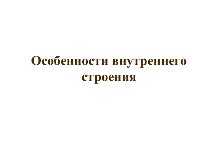 Особенности внутреннего строения