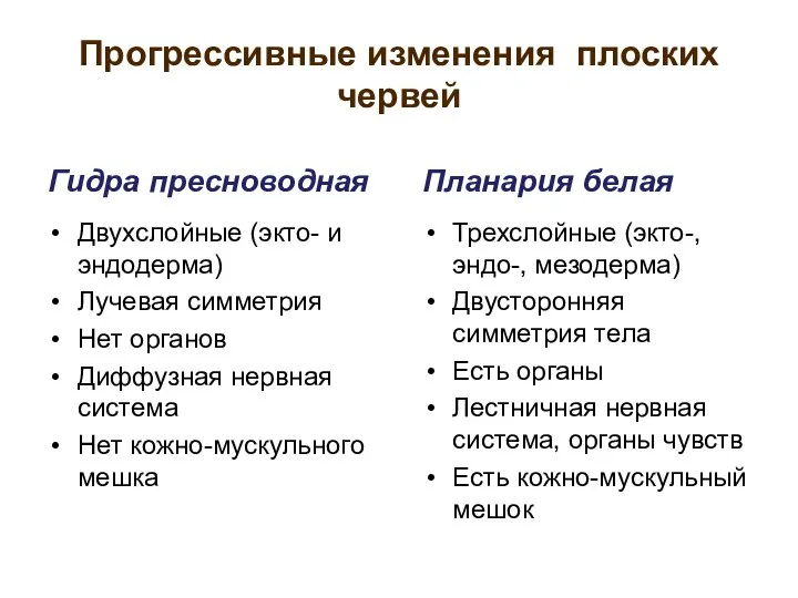 Прогрессивные изменения плоских червей Гидра пресноводная Двухслойные (экто- и эндодерма) Лучевая симметрия