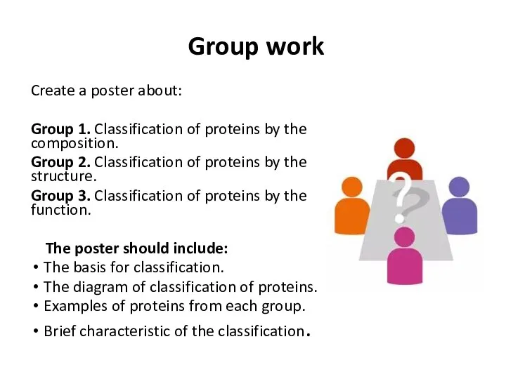 Group work Create a poster about: Group 1. Classification of proteins by