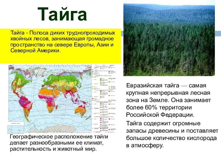 Тайга Географическое расположение тайги делает разнообразными ее климат, растительность и животный мир.