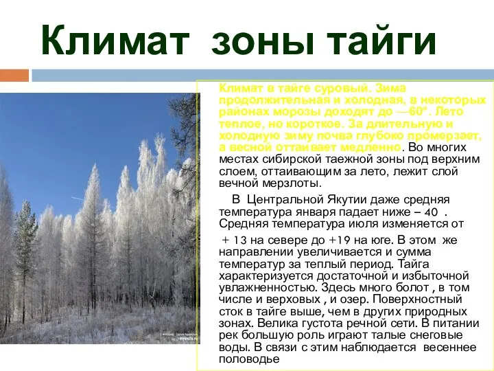 Климат зоны тайги Климат в тайге суровый. Зима продолжительная и холодная, в