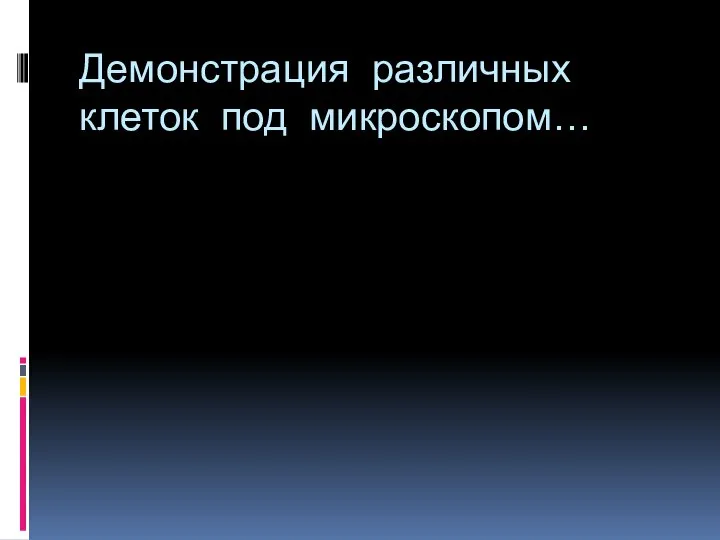 Демонстрация различных клеток под микроскопом…