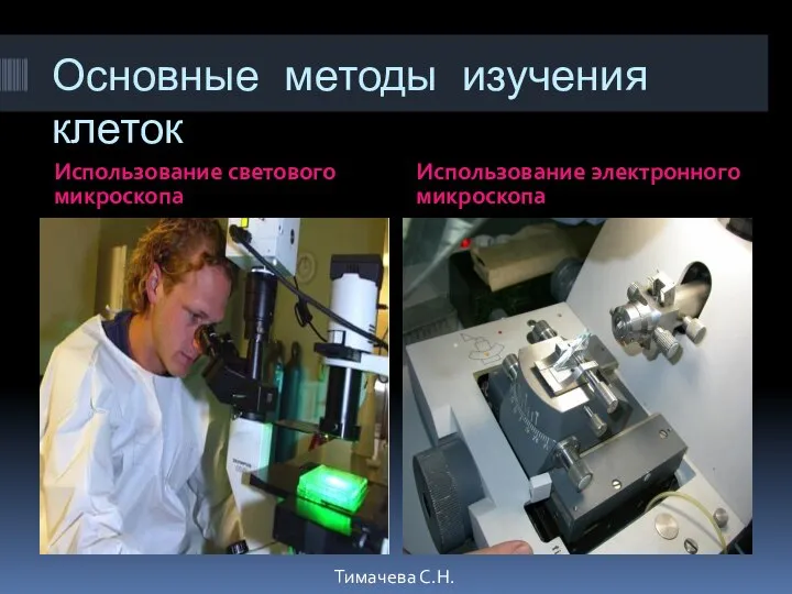 Основные методы изучения клеток Использование светового микроскопа Использование электронного микроскопа Тимачева С.Н.