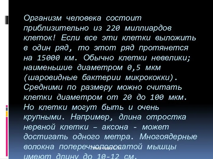 Организм человека состоит приблизительно из 220 миллиардов клеток! Если все эти клетки