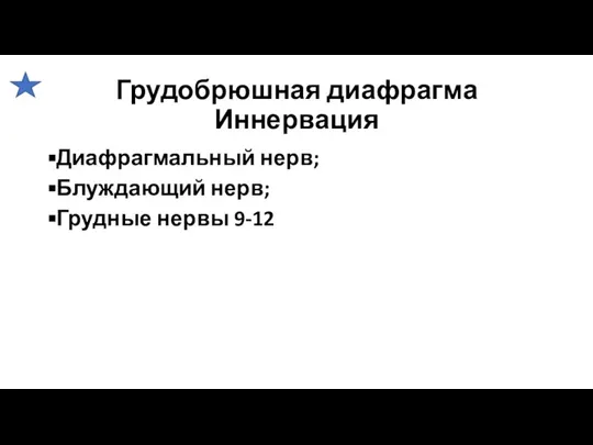 Грудобрюшная диафрагма Иннервация Диафрагмальный нерв; Блуждающий нерв; Грудные нервы 9-12