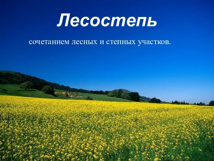 Лесостепь сочетанием лесных и степных участков.