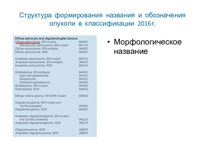 Структура формирования названия и обозначения опухоли в классификации 2016г. Морфологическое название