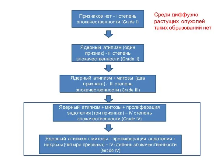 Ядерный атипизм (один признак) - II степень злокачественности (Grade II) Ядерный атипизм