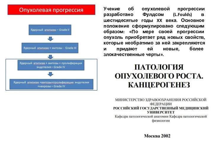 Учение об опухолевой прогрессии разработано Фулдсом (L.Foulds) в шестидесятые годы XX века.