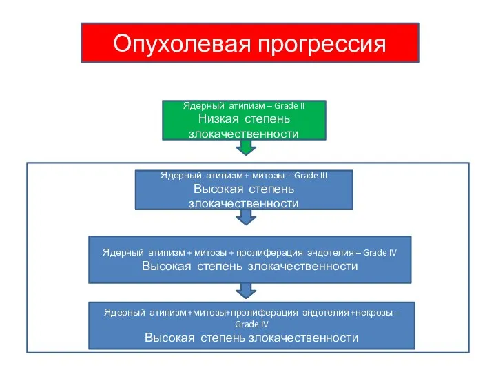 Ядерный атипизм – Grade II Низкая степень злокачественности Ядерный атипизм + митозы