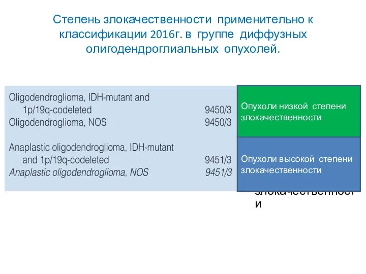 Степень злокачественности применительно к классификации 2016г. в группе диффузных олигодендроглиальных опухолей. Опухоли